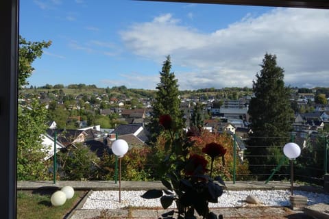 Apartment Werner Apartment in Bonn