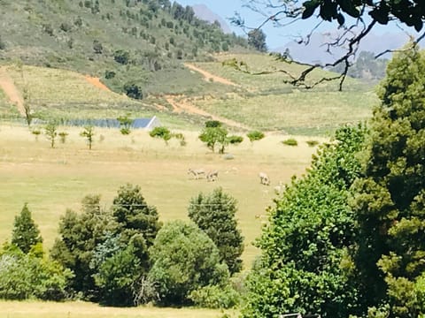 Winelands guest room Apartment in Stellenbosch