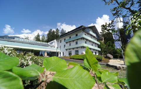 Property building, Summer