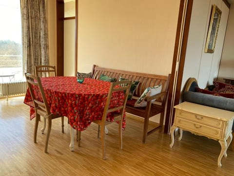 Blick über Bonn ins Siebengebirge Apartment in Bonn