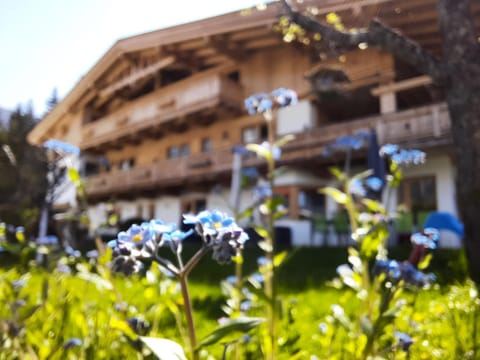 Property building, Spring, Garden