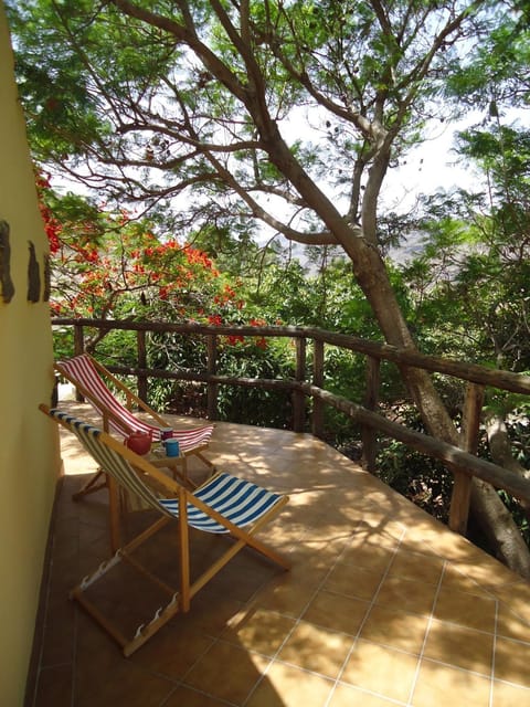 Garden, Balcony/Terrace, Bedroom