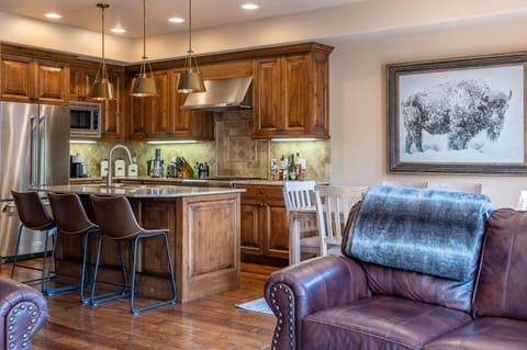 Skiview Townhome 1B House in Ketchum