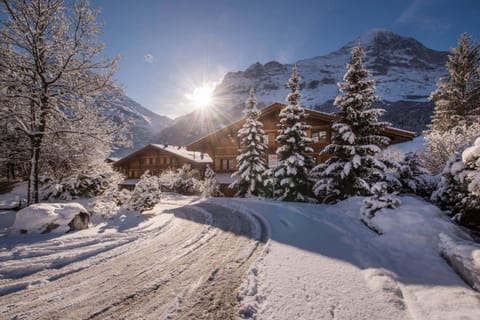 Billabong Apartment in Grindelwald