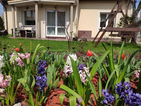 Spring, Garden, Seating area