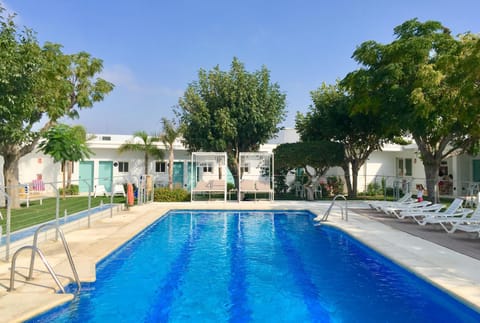 Day, Summer, Garden, On site, Swimming pool