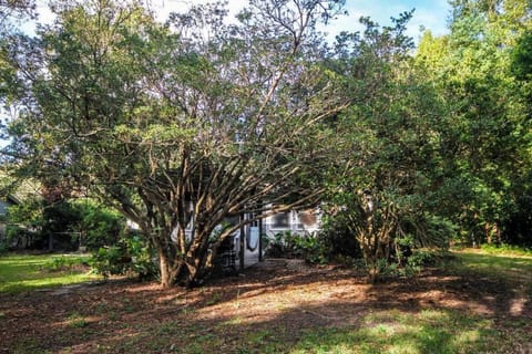 Hip Island House House in James Island
