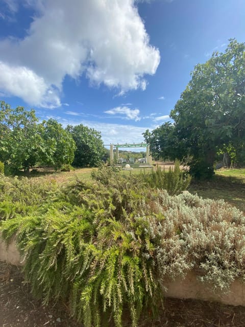 LeCalleBed-Breakfast Bed and Breakfast in Chia