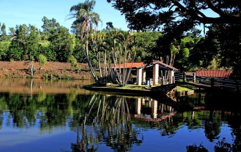 Lake view