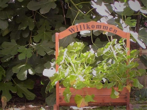 Weingut & Gästehaus Nagel Vacation rental in Rhineland-Palatinate