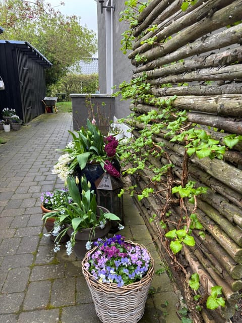 Kleiters Bed & Kitchen Apartment in Copenhagen