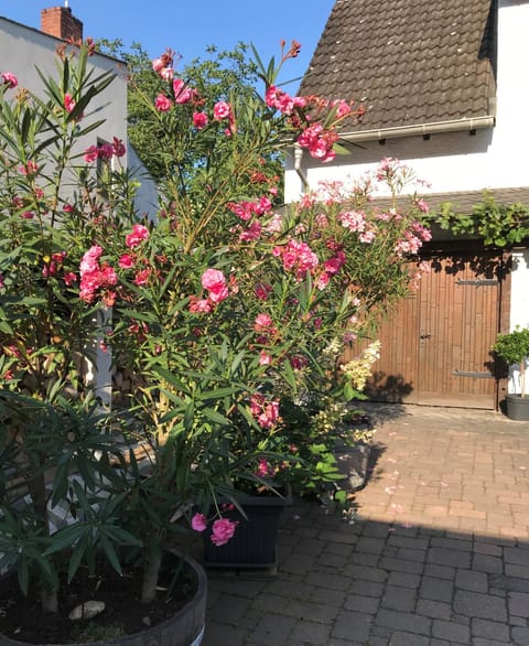 Inner courtyard view