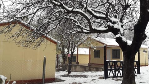 Property building, Day, Winter