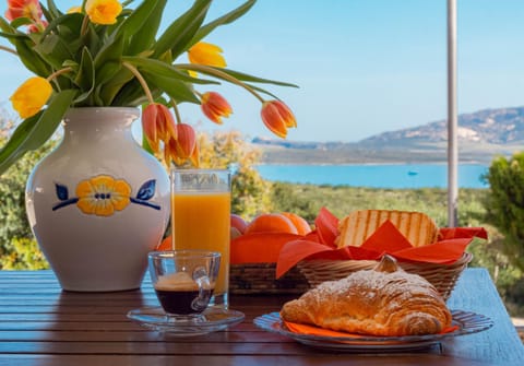 Patio, Natural landscape, Food and drinks, Breakfast