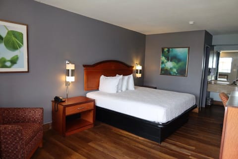 Bed, TV and multimedia, Photo of the whole room