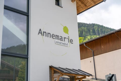 Apartment Annemarie Apartment in Zell am See