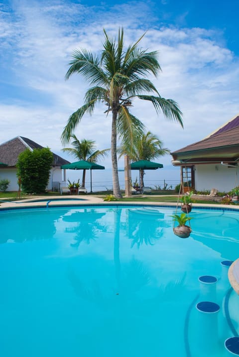 Day, Diving, Autumn, On site, Swimming pool