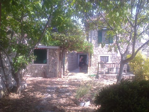 Facade/entrance, Garden