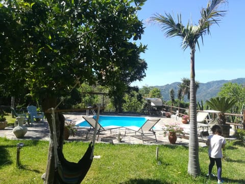 Garden, Swimming pool, Swimming pool