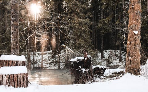Cowichan River Lodge Nature lodge in Lake Cowichan