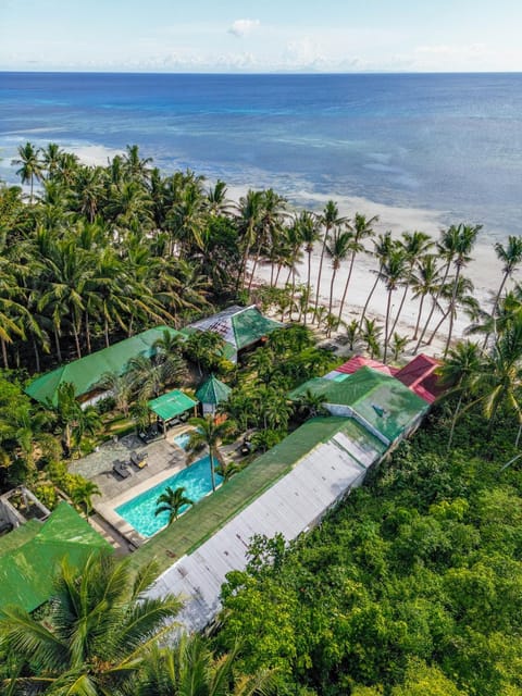 Bird's eye view, Beach