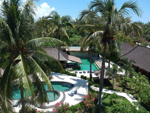Day, Natural landscape, Garden, Garden view, Pool view, Swimming pool, Swimming pool, sunbed