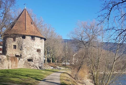 Ferienwohnung Nickmann im Scheffelhof Apartment in Aargau, Switzerland