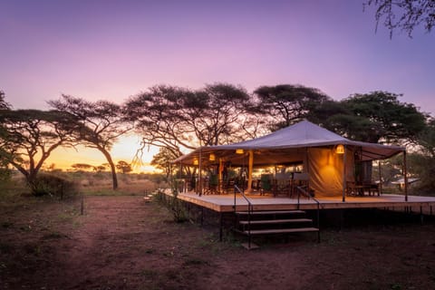 Dining area, Breakfast, Sunrise