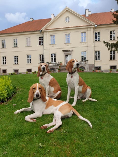 Property building, Pets