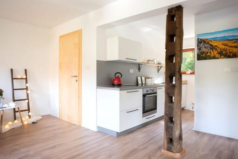 Kitchen or kitchenette, Living room, Photo of the whole room, Decorative detail, Dining area, On site, Garden view, Mountain view, Street view