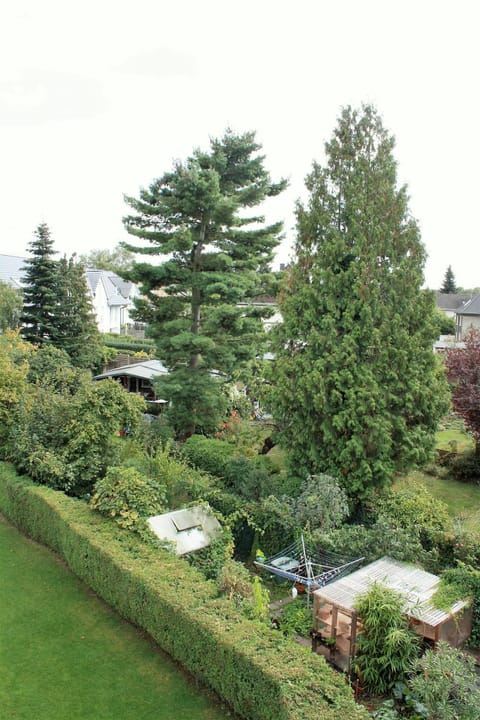 Day, Garden, Garden view