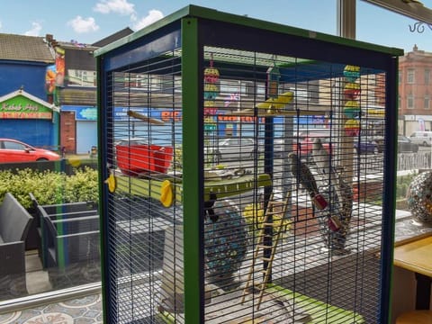 Danescourt Lodge Hotel in Blackpool