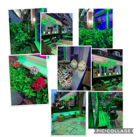 Facade/entrance, Other, Decorative detail