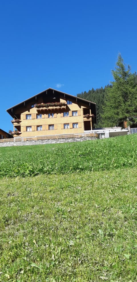Property view