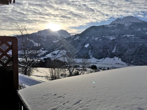 Untersteinhof Apartment in Salzburgerland