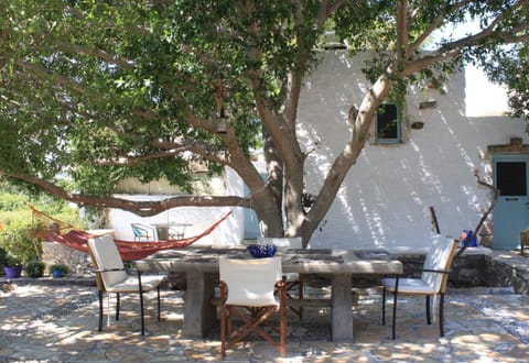 Day, Garden, Garden view