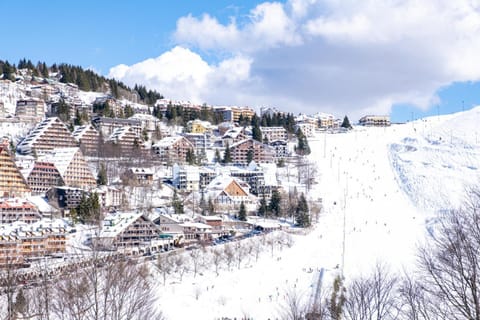 Natural landscape, City view, Mountain view