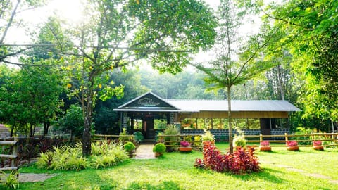 Natural landscape, Garden view