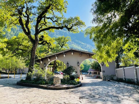 Garden view