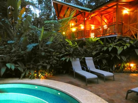 Patio, Night, Garden, Pool view, Swimming pool, Swimming pool