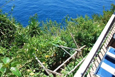 Photo of the whole room, Sea view