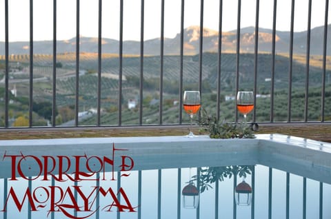 Solarium, Decorative detail, Mountain view, Pool view, Open Air Bath