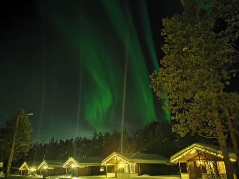 Night, Natural landscape