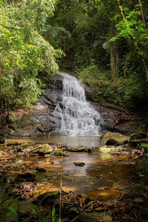 Natural landscape