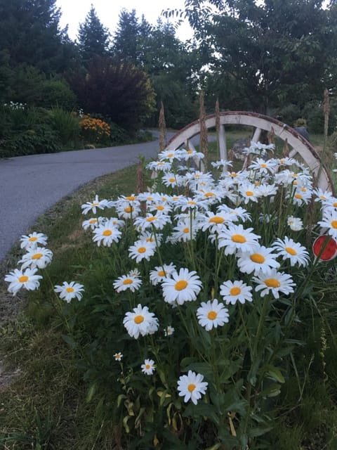 Seaside Villa Motel & RV Park Campground/
RV Resort in Powell River