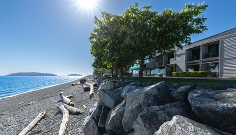 Property building, Natural landscape, Beach, Sea view