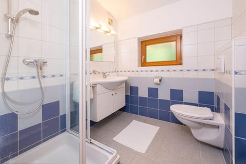 Haus Niederösterreich Apartment in Salzburgerland