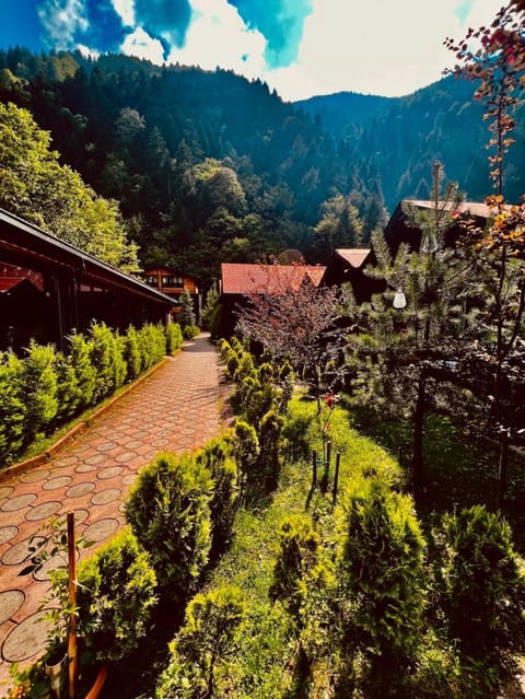 Day, Natural landscape, Garden, Garden, Garden view, Mountain view