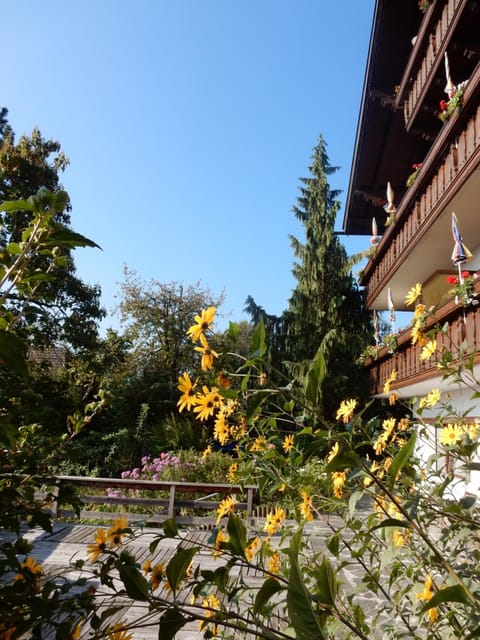 Garden, Balcony/Terrace