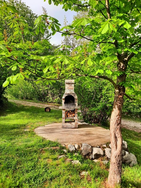 BBQ facilities, Garden, Garden view